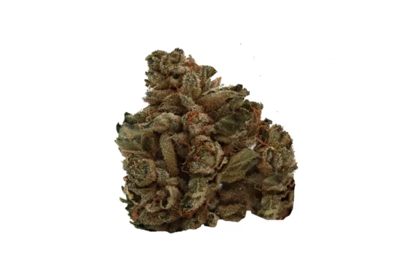 Tilray THC22 Sativa No.2 Headband