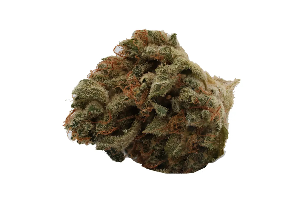 420 Evolution 30/1 CA FRG Frosted Gumbo